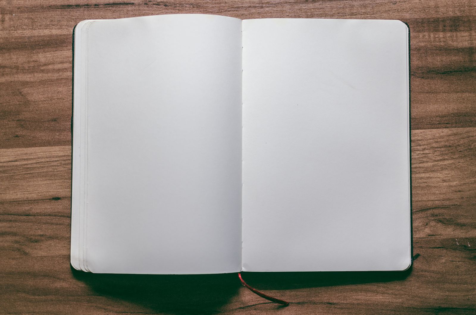 Reading With Reflection: The Manners of Recitation
