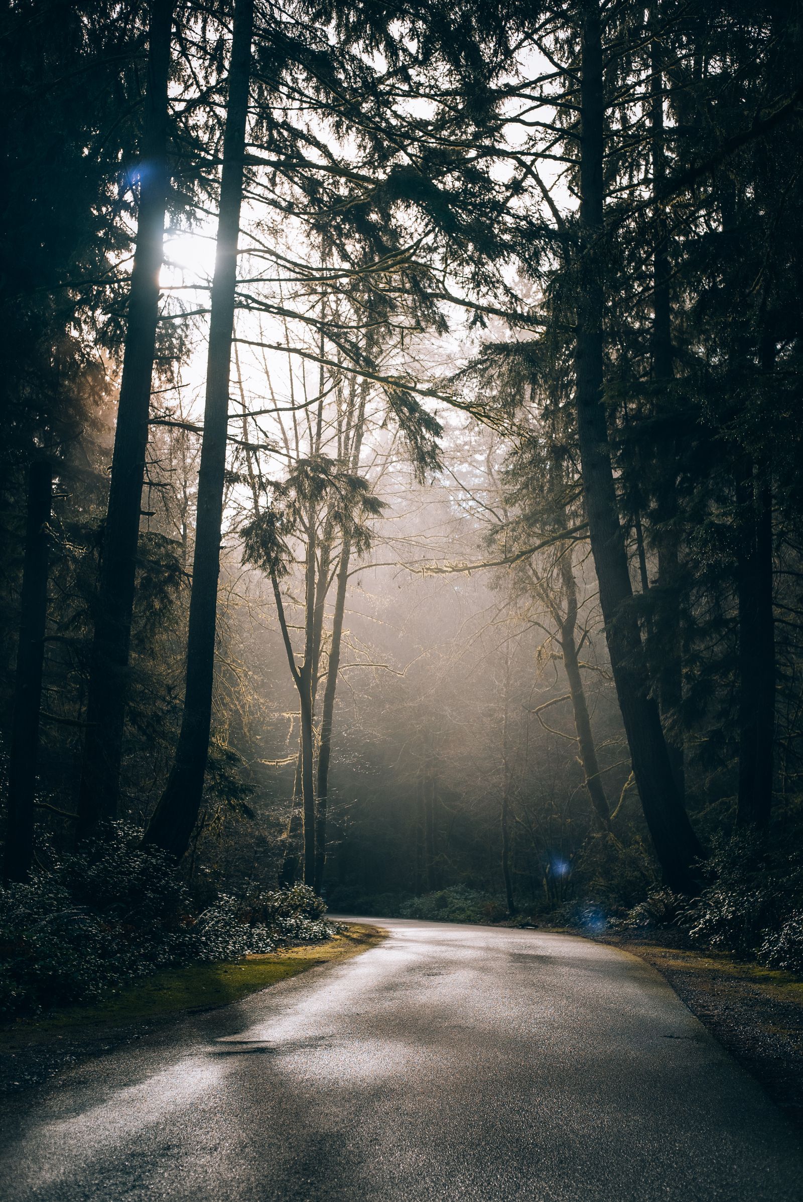 Returning Fully to the Qur'an: A Path to Revival