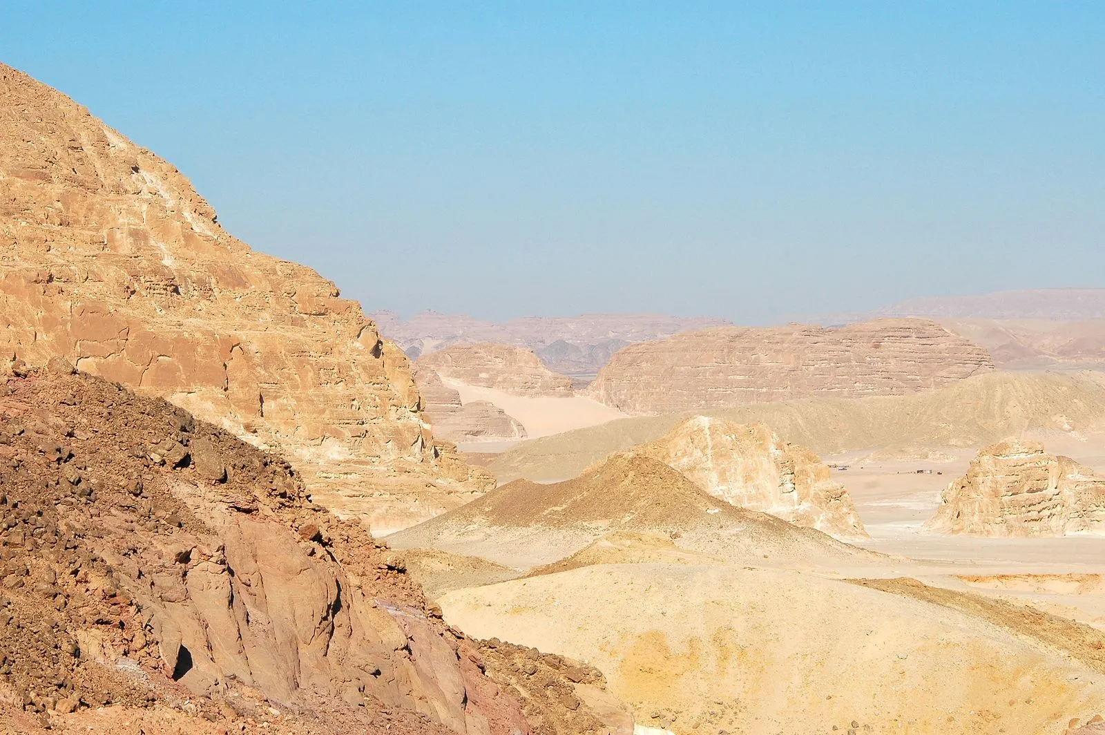Gratitude After the Crossing: What Musa (AS) Told His People in the Desert